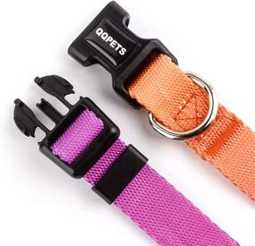 img 2 attached to QQPETS Nylon Multicolor Adjustable Collar