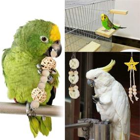 img 1 attached to 🐦 DSSPORT 8PCS Natural Wood Parrots Bird Swing Toys: Chewing Perches with Bells for Parakeets, Budgie, Love Birds