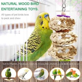 img 2 attached to 🐦 DSSPORT 8PCS Natural Wood Parrots Bird Swing Toys: Chewing Perches with Bells for Parakeets, Budgie, Love Birds