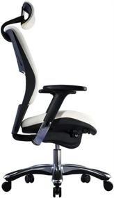 img 1 attached to 🪑 Ultimate Comfort: GM Seating Ergolux Genuine Leather Executive Hi Swivel Chair with Headrest - Sleek Black Design and Chrome Base