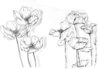 🌸 arrietty beautiful blooming poppies poppy flower artful sketched clear stamps - perfect for card making, decoration, and diy scrapbooking logo