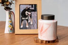 img 3 attached to 🐾 Marble Ceramic Pet Urn for Cats and Dogs - Perfect for Pet Memorials