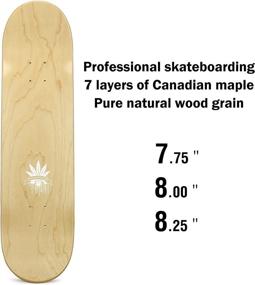 img 3 attached to America Skateboard Natural Double 7 75Inch
