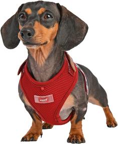 img 2 attached to 🐾 Puppia Life - Neil Superior Harness: Perfect Comfort and Style for Your Furry Friend