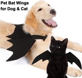 img 1 attached to 🦇 Halloween Pet Costume: Tealots Adjustable Funny Cat and Dog Bat Wings for Cosplay Fun!