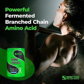 img 3 attached to Видовое питание Amino Evolved EAA & BCAA Powder: Ферментированные аминокислоты для улучшенного восстановления мышц, выносливости и поддержки перед и после тренировки (голубая малина, 30 порций)