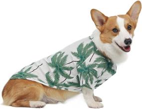 img 1 attached to PetVogue Dog Hawaiian Shirt 2-Pack - Tropical Clothes for Dogs, Girl/Boy, Summer, Small/Medium/Large Sizes - Quick-Dry T-Shirts