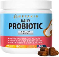 🐶 probiotics for dogs - 6 strains with prebiotics - supports digestive & immune system – relieves diarrhea, bad breath, allergies, gas, constipation, hot spots - made in usa - 120 chews logo