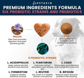 img 1 attached to 🐶 Probiotics for Dogs - 6 Strains with Prebiotics - Supports Digestive & Immune System – Relieves Diarrhea, Bad Breath, Allergies, Gas, Constipation, Hot Spots - Made in USA - 120 Chews