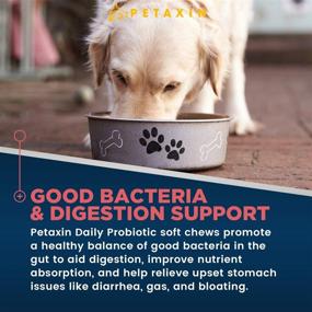 img 3 attached to 🐶 Probiotics for Dogs - 6 Strains with Prebiotics - Supports Digestive & Immune System – Relieves Diarrhea, Bad Breath, Allergies, Gas, Constipation, Hot Spots - Made in USA - 120 Chews