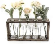 🌼 enhance your home décor with funsoba rustic vintage hydroponic flower vases set in wooden rack - 5 bottles (type b 5 vase set) logo