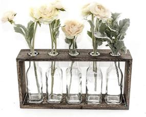 img 4 attached to 🌼 Enhance Your Home Décor with FUNSOBA Rustic Vintage Hydroponic Flower Vases Set in Wooden Rack - 5 Bottles (Type B 5 Vase Set)