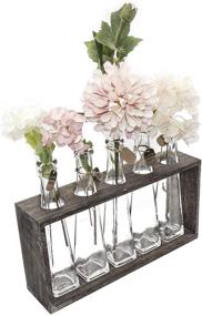 img 3 attached to 🌼 Enhance Your Home Décor with FUNSOBA Rustic Vintage Hydroponic Flower Vases Set in Wooden Rack - 5 Bottles (Type B 5 Vase Set)