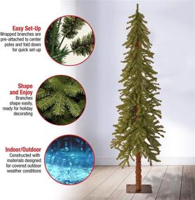 img 1 attached to 🌲 6ft National Tree Company Artificial Christmas Tree with Stand - Hickory Cedar Slim