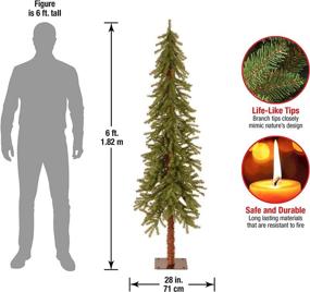 img 2 attached to 🌲 6ft National Tree Company Artificial Christmas Tree with Stand - Hickory Cedar Slim