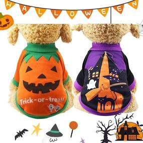 img 4 attached to 🎃 Yikeyo Dog Halloween T-Shirt - Pumpkin & Witch Costume Outfits for Small Dogs