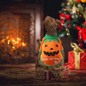 img 2 attached to 🎃 Yikeyo Dog Halloween T-Shirt - Pumpkin & Witch Costume Outfits for Small Dogs