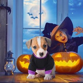 img 1 attached to 🎃 Yikeyo Dog Halloween T-Shirt - Pumpkin & Witch Costume Outfits for Small Dogs