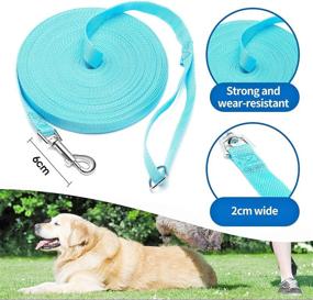 img 3 attached to BAAPET 15 ft, 20 ft, 30 ft, 50 ft, 100 ft Long Leash for Dog and Cat Training, Play, Camping, or Backyard Lead with Complimentary Training Clickers - Ideal for Small, Medium, and Large Breeds (30 Feet, SkyBlue)