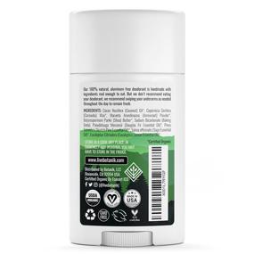 img 3 attached to 🌿 Botanik Natural Deodorant - Men's Organic Aluminum-Free Deodorant - Fresh Evergreen (2 pack)