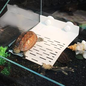 img 1 attached to 🐢 Together-life Turtle Basking Platform for Reptile Tank - Floating Dock for Turtles, Climbing Rest Island, Ideal Fish Tank Decor for Small Tortoise, Frog, Newt, and Terrapin