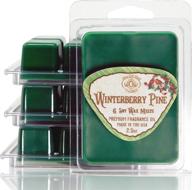 way out west candles - winterberry pine scented wax melts - intensely fragrant air freshener - 4 pack set of 6 melt cubes (4) логотип