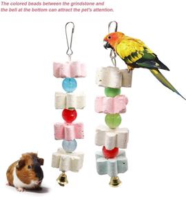 img 1 attached to 🦜 S-Mechanic Parrot Chewing Toy - Beak Trimmer Calcium Stone with Bell for Cockatiel, Conure, African Grey, Amazon Parrots, Parakeet - 2packs