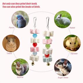 img 2 attached to 🦜 S-Mechanic Parrot Chewing Toy - Beak Trimmer Calcium Stone with Bell for Cockatiel, Conure, African Grey, Amazon Parrots, Parakeet - 2packs