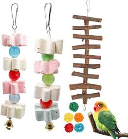 img 4 attached to 🦜 S-Mechanic Parrot Chewing Toy - Beak Trimmer Calcium Stone with Bell for Cockatiel, Conure, African Grey, Amazon Parrots, Parakeet - 2packs