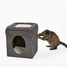 img 2 attached to Gray Cat Cube with Cat Bed Topper - New World, 15.5L x 15.5W x 16.5H