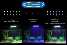 img 3 attached to 🐠 WOTERZI LED Aquarium Light Clip On, Perfect for 12-18 Inch Fish Tanks &amp; Aquariums, White, Blue, and Color LEDs, 7W