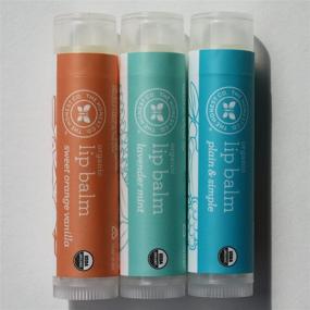 img 2 attached to 🌿 Best Organic Lip Balm Trio - Honest, Nourishing, and Chemical-Free