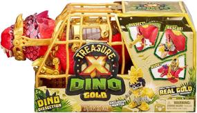 img 3 attached to S2 Treasure Dino Examination
