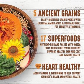 img 1 attached to Premium Earthborn Holistic Smoked 🦃 Turkey Ancient Grains & Superfoods Dog Food