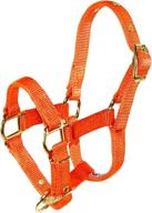 hamilton adjustable miniature nylon halter sports & fitness and team sports logo