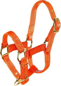 img 1 attached to Hamilton Adjustable Miniature Nylon Halter Sports & Fitness and Team Sports