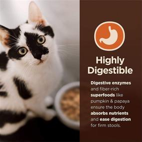img 2 attached to 🐾 Natural Wellness Pet Food Wet