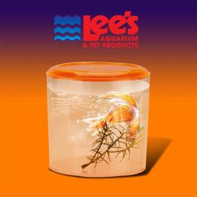 img 3 attached to 🐠 Enhance Betta Care with Lee's Round Betta Keeper: A Comprehensive Review