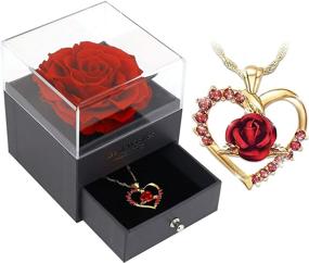 img 4 attached to 🌹 Eternal Preserved Real Rose Necklace - Perfect Valentine's Day, Wedding Anniversary, Birthday Gift (Real Rose with Drawer)