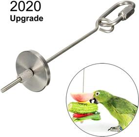 img 2 attached to 🐦 Stainless Steel Bird Fruit Holder: Essential Food Skewer & Treat Feeder for Parrots, Hens, and Small Animals