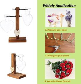 img 1 attached to 🌿 Hydroponic Plant Propagation Planter: Glass Terrarium for Air Plants - Enhance Your Home and Office Décor with 3 Heart Vase + 3 Wood Stand Combo!