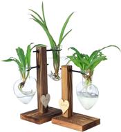 🌿 hydroponic plant propagation planter: glass terrarium for air plants - enhance your home and office décor with 3 heart vase + 3 wood stand combo! logo
