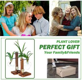 img 2 attached to 🌿 Hydroponic Plant Propagation Planter: Glass Terrarium for Air Plants - Enhance Your Home and Office Décor with 3 Heart Vase + 3 Wood Stand Combo!