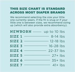 img 3 attached to 🐻 Mama Bear Gentle Touch Diapers, Hypoallergenic, Size 5, 132 Count (4 packs of 33) - Premium Quality Diapers for Your Baby's Ultimate Comfort