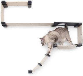 img 4 attached to CatastrophiCreations Cat Playplace Hammocks - Enhance Your Cat's Playtime