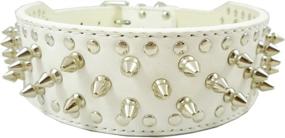 img 2 attached to 🐶 Faux Leather Spiked Studded Dog Collar - Perfect for Pitbulls and Boxers - from Dogs Kingdom