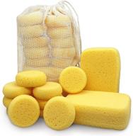 premium synthetic sponges rectangular constantia logo