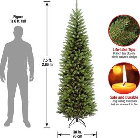 img 2 attached to 🎄 7.5 Feet Green Kingswood Fir Artificial Slim Christmas Tree by National Tree Company - Includes Stand