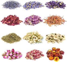 img 4 attached to 🌸 Gibot 12 Pack 15g Organic Dried Flower Herb Set for Candle Resin Jewelry Soap Bath Bombs Making - Includes Rose Petals, Lavender, Jasmine, Forget-me-not, Lily & More (with Sealing Clip)