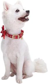 img 2 attached to 🎄 Christmas Luxurious Dog Collars with Bowtie Set from Blueberry Pet